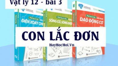 Con lac don chu ky tan so the nang cua 390x220 1 Con lac don chu ky tan so the nang cua 390x220 1