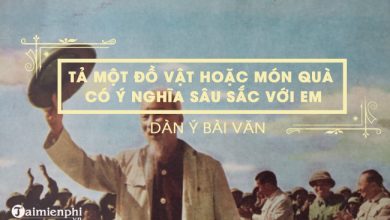 Dan y ta mot do vat hoac mon qua co 390x220 1 Dan y ta mot do vat hoac mon qua co 390x220 1