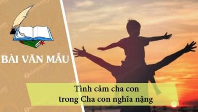 Dan y tinh cam cha con trong Cha con nghia 390x220 1 Dan y tinh cam cha con trong Cha con nghia 390x220 1