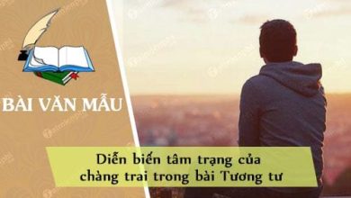 Dien bien tam trang cua chang trai trong bai Tuong 390x220 1 Dien bien tam trang cua chang trai trong bai Tuong 390x220 1