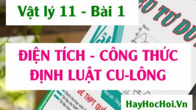 Dien tich la gi Cong thuc bieu thuc Dinh luat 390x220 1 Dien tich la gi Cong thuc bieu thuc Dinh luat 390x220 1