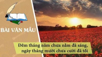 Giai thich cau tuc ngu Dem thang nam chua nam 390x220 1 Giai thich cau tuc ngu Dem thang nam chua nam 390x220 1