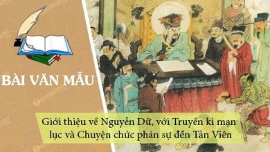 Gioi thieu ve Nguyen Du voi Truyen ki man luc 390x220 1 Gioi thieu ve Nguyen Du voi Truyen ki man luc 390x220 1