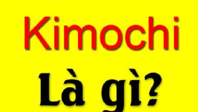 Kimochi la gi i cu Kimochi la gi 390x220 1 Kimochi la gi i cu Kimochi la gi 390x220 1