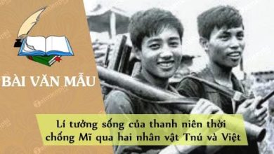 Li tuong song cua thanh nien thoi chong Mi qua 390x220 1 Li tuong song cua thanh nien thoi chong Mi qua 390x220 1