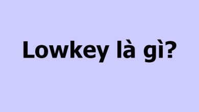 Lowkey nghia la gi Lowkey boy nghia la gi Ban 390x220 1 Lowkey nghia la gi Lowkey boy nghia la gi Ban 390x220 1