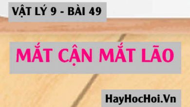 Mat can la gi Mat lao la gi Cach khac 390x220 1 Mat can la gi Mat lao la gi Cach khac 390x220 1