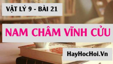 Nam cham vinh cuu la gi Tu tinh cua nam 390x220 1 Nam cham vinh cuu la gi Tu tinh cua nam 390x220 1