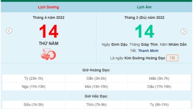 Ngay 144 la ngay gi 390x220 1 Ngay 144 la ngay gi 390x220 1