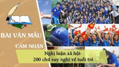 Nghi luan xa hoi 200 chu suy nghi ve tuoi 390x220 1 Nghi luan xa hoi 200 chu suy nghi ve tuoi 390x220 1