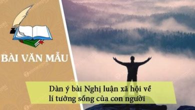 Nghi luan xa hoi ve li tuong song cua con 390x220 1 Nghi luan xa hoi ve li tuong song cua con 390x220 1