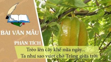 Phan tich bai ca dao sau Treo len cay khe 390x220 1 Phan tich bai ca dao sau Treo len cay khe 390x220 1