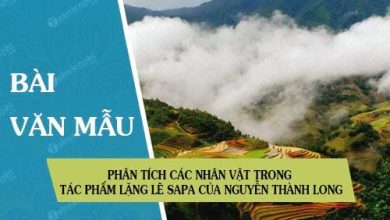 Phan tich cac nhan vat trong tac pham lang le 390x220 1 Phan tich cac nhan vat trong tac pham lang le 390x220 1