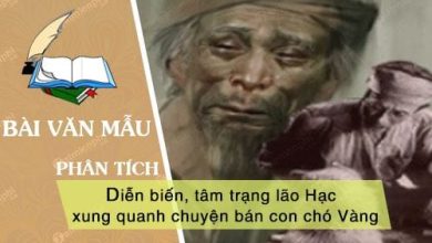 Phan tich dien bien tam trang lao Hac xung quanh 390x220 1 Phan tich dien bien tam trang lao Hac xung quanh 390x220 1