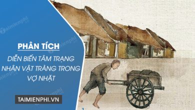 Phan tich dien bien tam trang nhan vat Trang trong 390x220 1 Phan tich dien bien tam trang nhan vat Trang trong 390x220 1