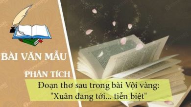 Phan tich doan tho sau trong bai Voi vang Xuan 390x220 1 Phan tich doan tho sau trong bai Voi vang Xuan 390x220 1