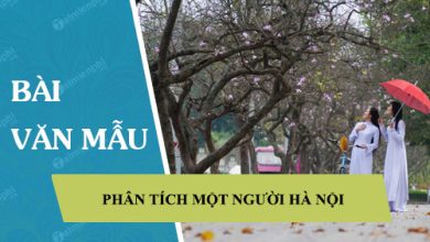 Phan tich tac pham Mot nguoi Ha Noi cua Nguyen 390x220 1 Phan tich tac pham Mot nguoi Ha Noi cua Nguyen 390x220 1