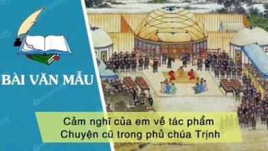 Phat bieu cam nghi cua em ve tac pham Chuyen 390x220 1 Phat bieu cam nghi cua em ve tac pham Chuyen 390x220 1