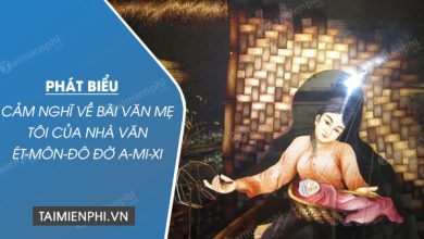 Phat bieu cam nghi ve bai van Me toi cua 390x220 1 Phat bieu cam nghi ve bai van Me toi cua 390x220 1