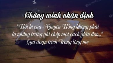 Qua doan trich Trong long me chung minh nhan dinh 390x220 1 Qua doan trich Trong long me chung minh nhan dinh 390x220 1