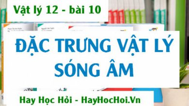 Song am la gi Dac trung Vat ly cua song 390x220 1 Song am la gi Dac trung Vat ly cua song 390x220 1