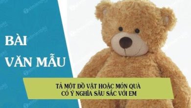 Ta mot do vat hoac mon qua co y nghia 390x220 1 Ta mot do vat hoac mon qua co y nghia 390x220 1