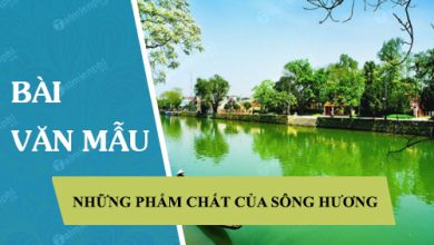 Tac gia da to dam nhung pham chat gi cua 390x220 1 Tac gia da to dam nhung pham chat gi cua 390x220 1