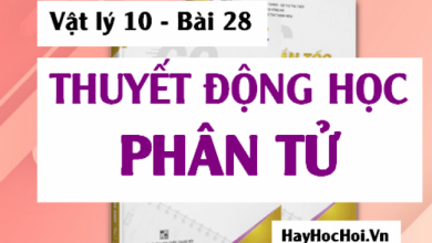 Thuyet dong hoc phan tu chat khi Cau tao chat 390x220 1 Thuyet dong hoc phan tu chat khi Cau tao chat 390x220 1