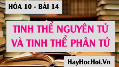 Tinh the nguyen tu la gi tinh the phan tu 390x220 1 Tinh the nguyen tu la gi tinh the phan tu 390x220 1