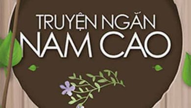 Truyen ngan Nam Cao 390x220 1 Truyen ngan Nam Cao 390x220 1