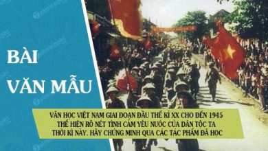 Van hoc viet Nam giai doan dau the ki XX 390x220 1 Van hoc viet Nam giai doan dau the ki XX 390x220 1