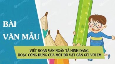 Viet doan van ngan ta hinh dang hoac cong dung 390x220 1 Viet doan van ngan ta hinh dang hoac cong dung 390x220 1