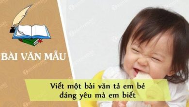 Viet mot bai van ta em be dang yeu ma 390x220 1 Viet mot bai van ta em be dang yeu ma 390x220 1