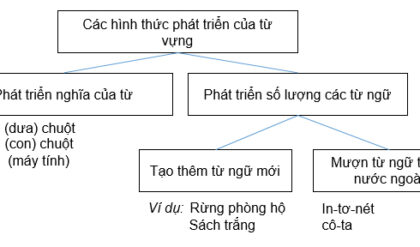 bai 1 trang 135 sgk ngu van 9 tap 1 rs650 bai 1 trang 135 sgk ngu van 9 tap 1 rs650