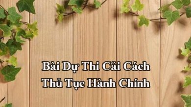 bai du thi cai cach thu tuc hanh chinh 390x220 1 bai du thi cai cach thu tuc hanh chinh 390x220 1