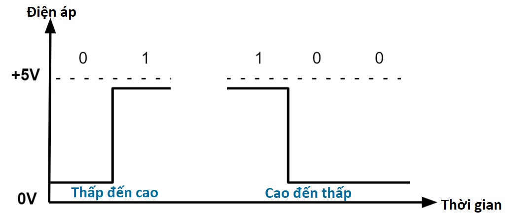 Biểu đồ tín hiệu chân Digital