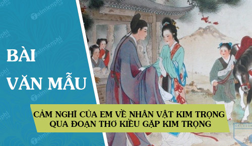 cam nghi cua em ve nhan vat kim trong qua doan tho kieu gap kim trong