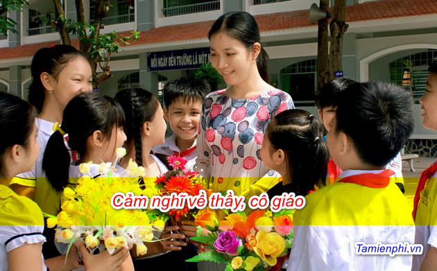 Cảm nghĩ về thầy, cô giáo