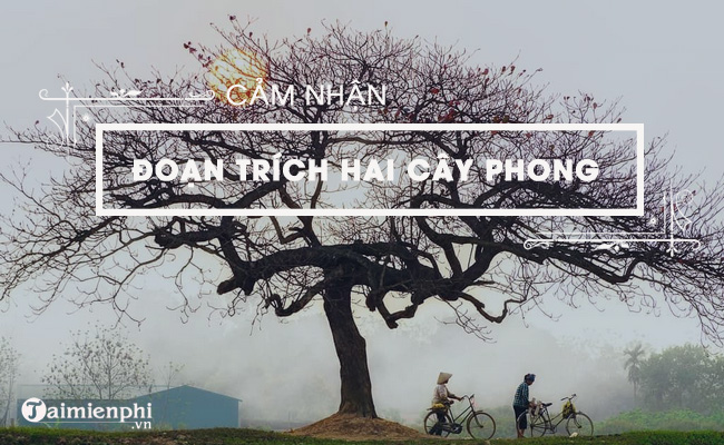 trinh bay cam nhan cua em ve doan trich hai cay phong