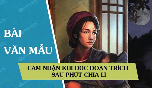 cam nhan khi doc doan trich sau phut chia li