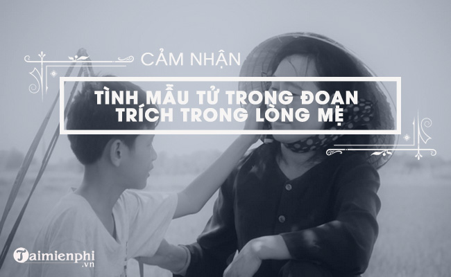 trinh bay cam nhan ve tinh mau tu trong van ban trong long me