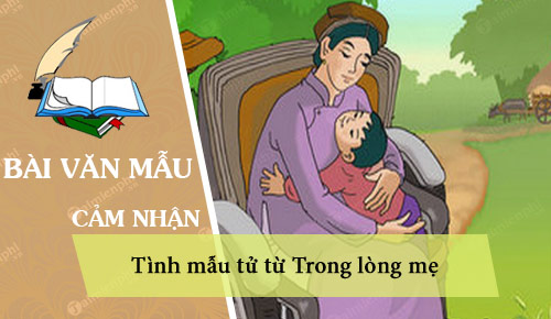 cam nhan tinh mau tu tu trong long me