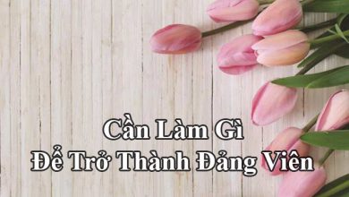 can lam gi de tro thanh dang vien 390x220 1 can lam gi de tro thanh dang vien 390x220 1