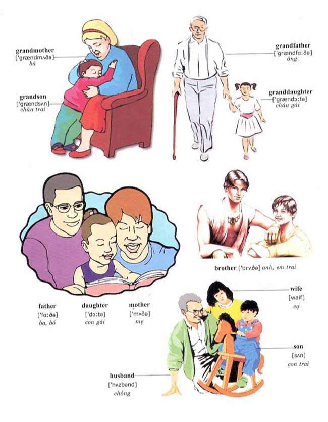 Các từ vựng về gia đình- Family