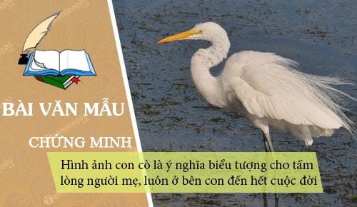 chung minh hinh anh con co la y nghia bieu tuong cho tam long nguoi me luon o ben con den het cuoc doi