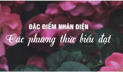 dac diem nhan dien cac phuong thuc bieu dat dac diem nhan dien cac phuong thuc bieu dat