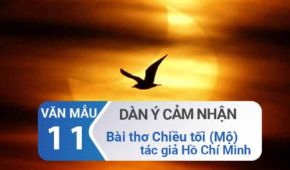 dan y cam nhan ve bai tho chieu toi ho chi minh lop 11 dan y cam nhan ve bai tho chieu toi ho chi minh lop 11