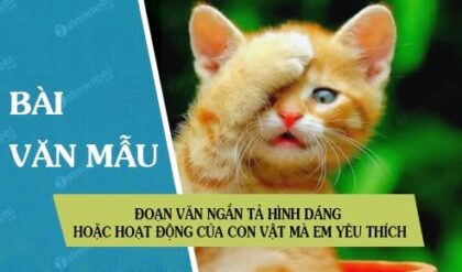 doan van ngan ta hinh dang hoac hoat dong cua con vat ma em yeu thich