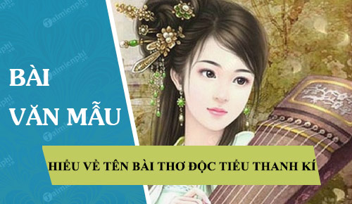 em hieu gi ve ten bai tho doc tieu thanh ki cua nguyen du