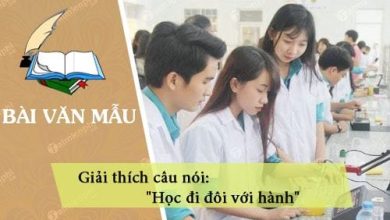 giai thich cau noi hoc di doi voi hanh 390x220 1 giai thich cau noi hoc di doi voi hanh 390x220 1